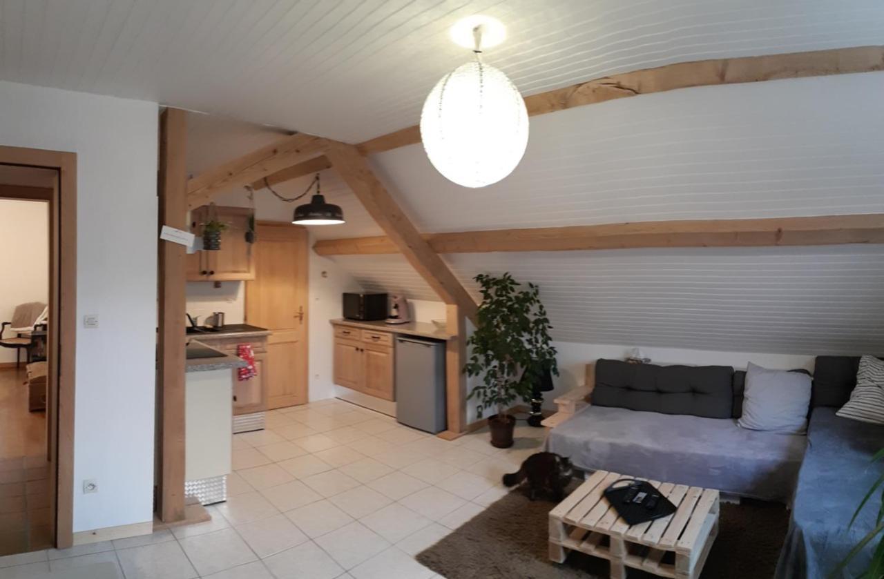 Douillet Avec Vue Sur Les Montagnes Apartment
