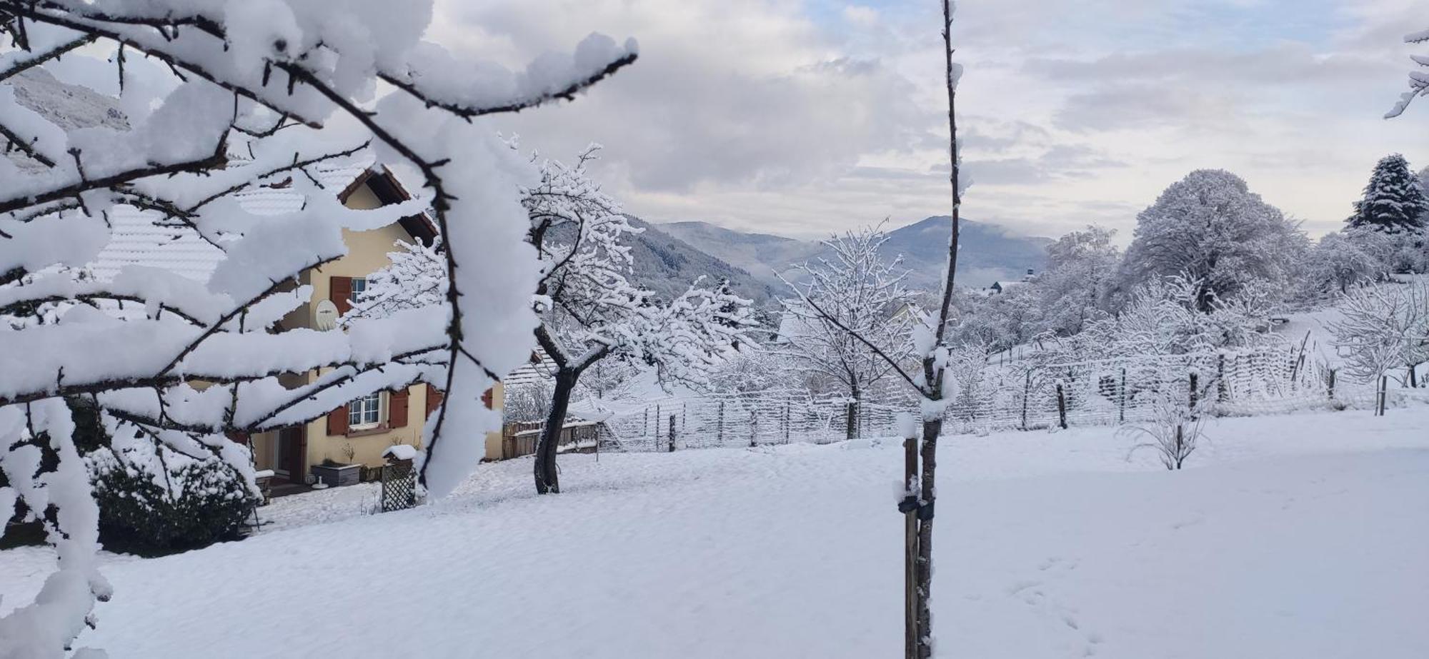 Douillet Avec Vue Sur Les Montagnes Fouchy