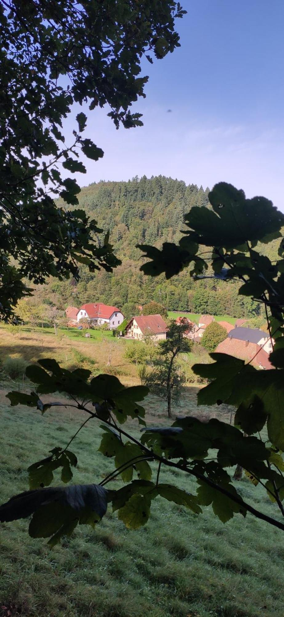 Apartamento Douillet Avec Vue Sur Les Montagnes